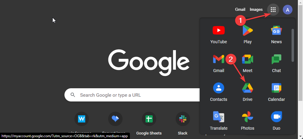 Open Google drive in browser